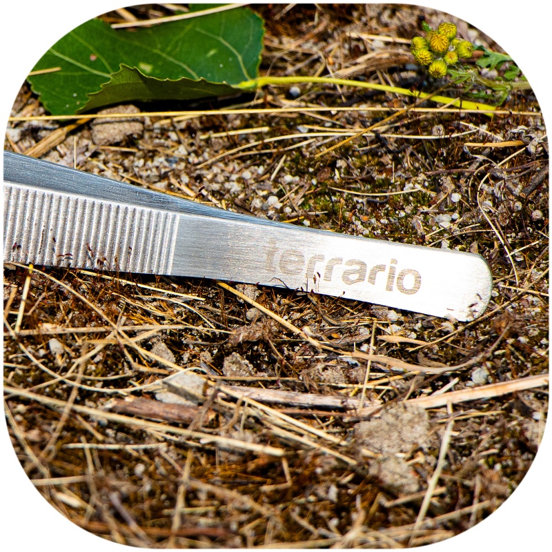 ViperTweez Bent XL waterproof terrarium tweezers